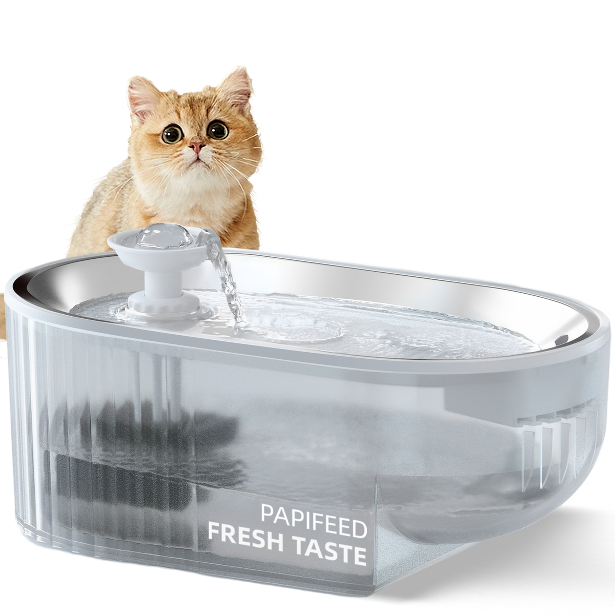 PAPIFEED Stainless Steel + Plastic Bowl Automatic Water Fountain Dispenser