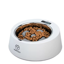 PAPIFEED Smart Stainless Steel Slow Feeding Bowl With Weight Display 500g