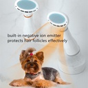 PAPIFEED 2 In 1 Grooming Pet Hair Dryer Brush For Small Medium Dogs + Cats